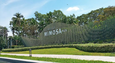 Mimosa Sign, Green Trees and Bird in Flight / Clark Freeport Philippines, formerly Clark Air Base