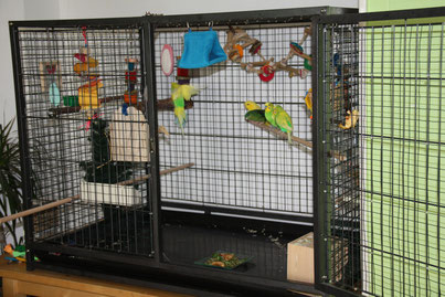 Installations Et Parc Perruches Et Perroquets