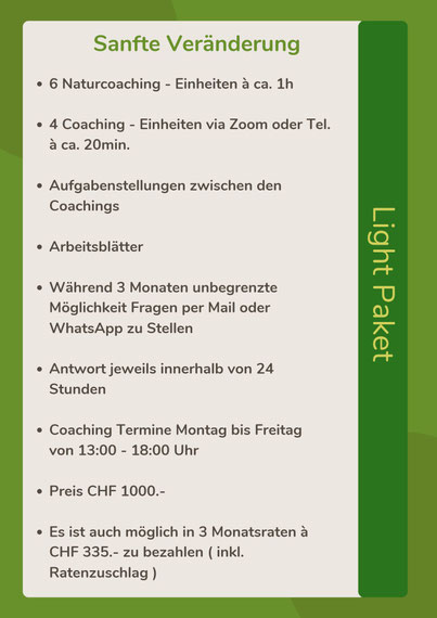Naturcoach, Meditationslehrer, Shinrin Yoku Daniel Hauser, Uster, Coach, Coaching, Visionssuche, Angebote, Preise