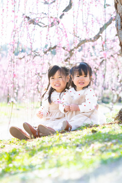 可愛らしい梅のお花と一緒にお子さまの❝今❞を残す撮影会です。