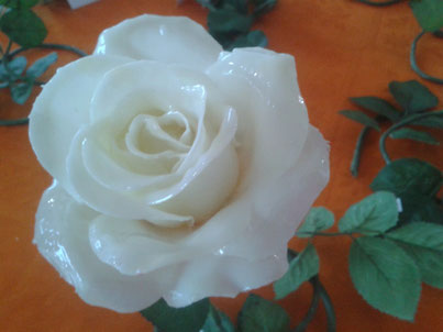 Rosa € 15.00