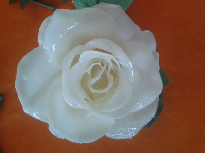 Rosa € 15.00