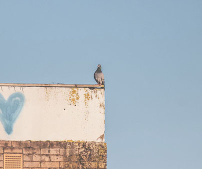 Yogalehrer-Weiterbildungen