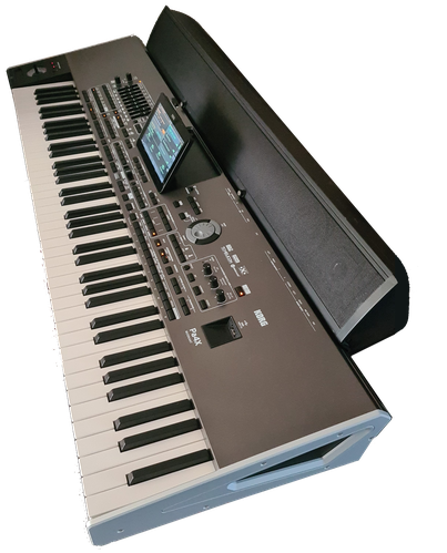 Korg pa4x 76 muzikant