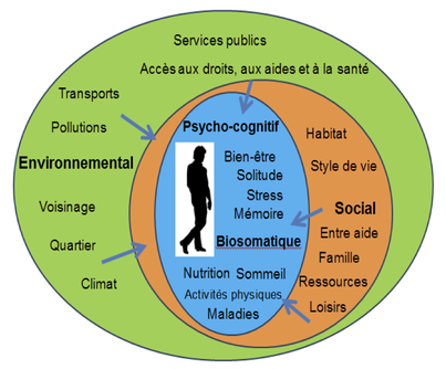 - Les déterminants de santé (Source : CESEGH) -