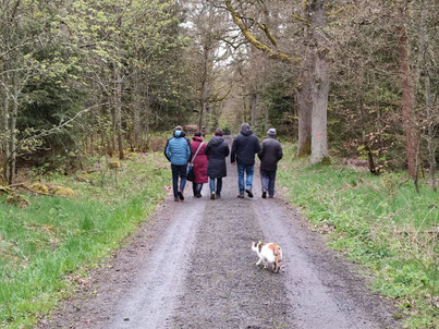 Rund um den Steinberg mit 4-Pfotenunterstützung ging es bei der Vogelstimmenwanderung 2024 (Quelle: B. Küspert)