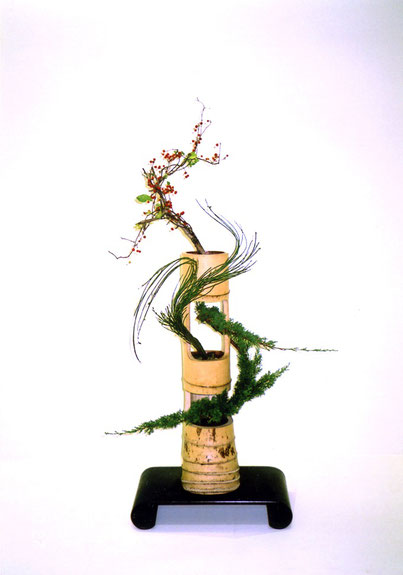 華道 遠州流の歴史 - 華道 「遠州流」 美濃 ホームページ 華道 遠州流の歴史 - 華道 「遠州流」 美濃 ホームページ