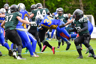Nürnberg Hawks Nürnberg Hawks