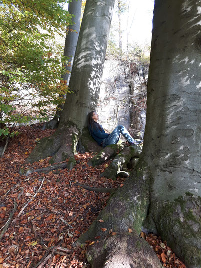 Kordula´s Waldbaden, Bad Pyrmont, Shinrin Yoku, Lügde, Hameln, Wald, eintauchen, Sinne, Gesundheit, Kordula Lensdorf