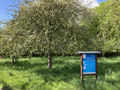 NABU Streuobstwiese mit Infotafel (Foto: NABU Preetz-Probstei)