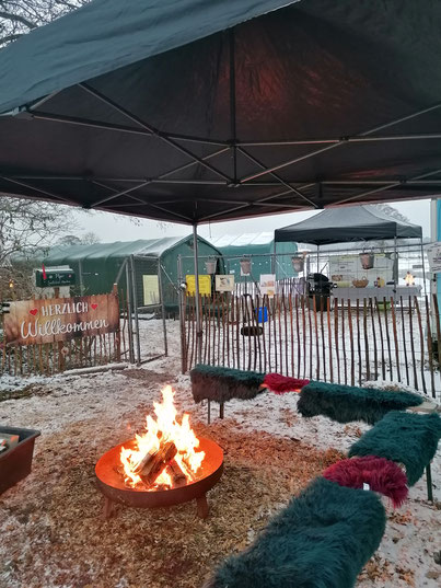Weihnachtszeit bei den Seelenheil-Alpakas mit Feuerstelle