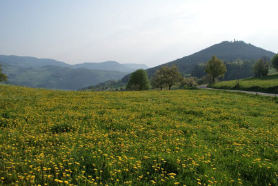 vacances et tourisme en Alsace, location de gite à Lapoutroie, dans la Vallée de Kaysersberg, près de la station du Lac Blanc