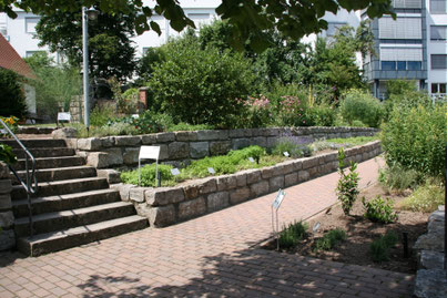 Kräuter-Garten in Vestenbergsgreuth