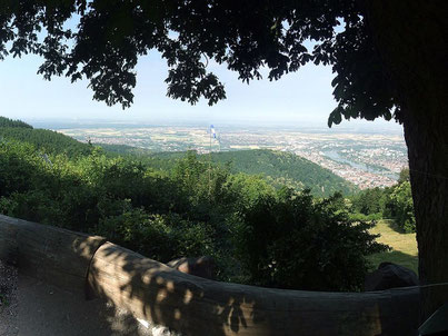 Ausblick auf Stadt und Umland. Foto: DerFloh