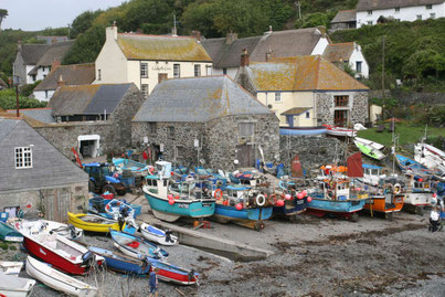 Cadgewith Hafen bei Ebbe mit vielen bunten Fischerbooten auf Land ©My own Travel