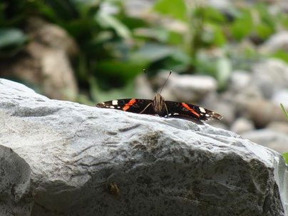 Liebe und Kraft der Natur