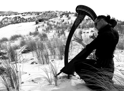 photo : rose_noir-et_blanc