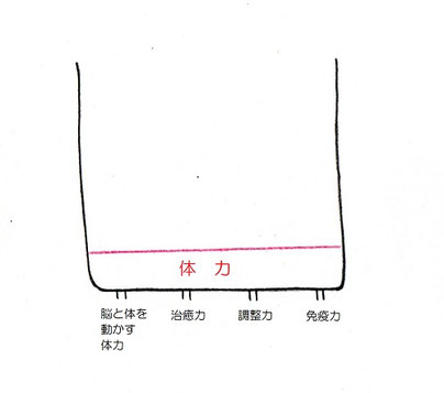 茅ヶ崎　整体　肩こり　腰痛　自律神経失調症