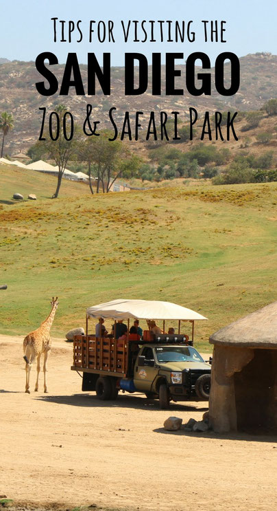 Our best tips for the San Diego Zoo & Safari park| Family Travel | Travel with baby, infant, toddler | Traveling with baby | Family Travel | San Diego with a baby | California Family Vacation | Balboa Park