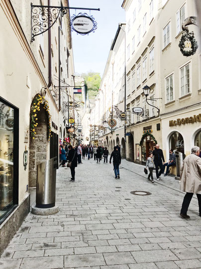 Salzburg Austria ofpenguinsandelephants of penguins & elephants City Guide