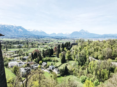 Salzburg Austria ofpenguinsandelephants of penguins & elephants City Guide view