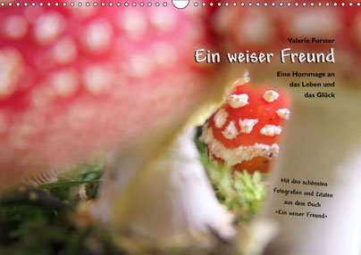 Valerie Forster, Kalender, Calvendo, Cover, Ein weiser Freund