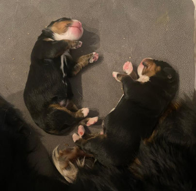 Ein Mädchen, links. Ihr Bruder, rechts.