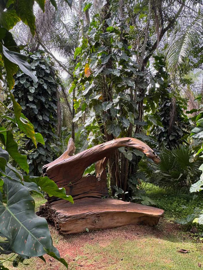 Sitzbank aus alten Tropenbaum, Inhotim Kunstpark, Minas Gerais, Brasilien  