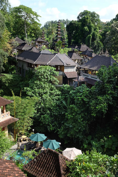 Reiseblog Ubud Bali Tipps