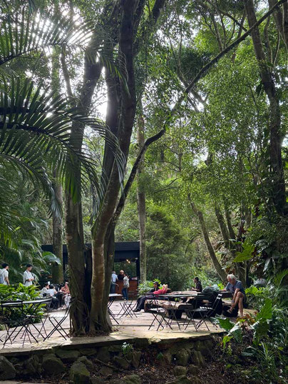 Café im Wald, Inhotim Kunstpark, Minas Gerais, Brasilien