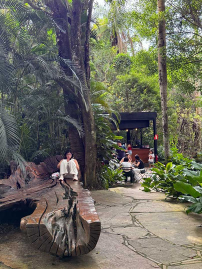 Sitzbank aus alten Tropenbaum, Inhotim Kunstpark, Minas Gerais, Brasilien  