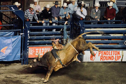 Bullriding Pendleton Roundup Rodeo Idaho