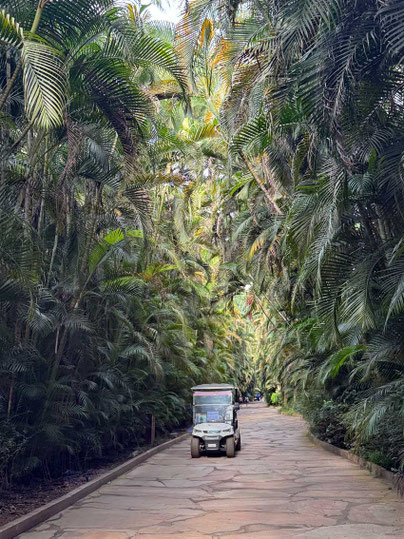 Shuttle-Transport per Golfcart, Inhotim Kunstpark, Minas Gerais, Brasilien