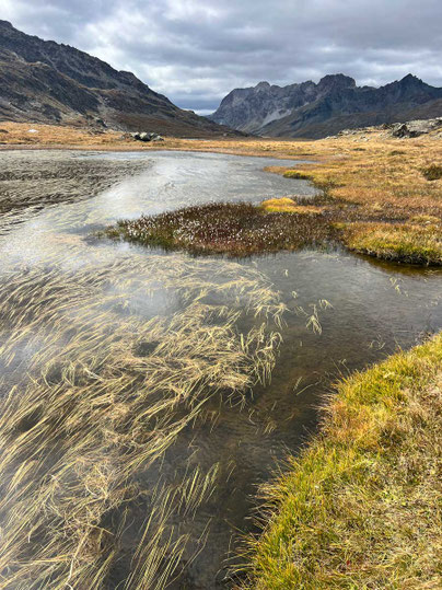 Hochmoor am Col Longet – Valle Varaita – Piemont