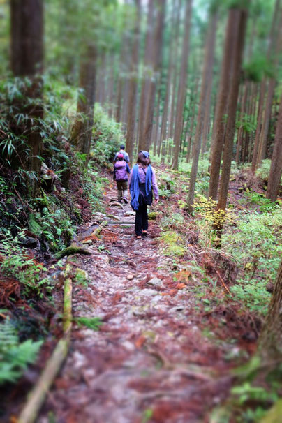 Japan Kumano Kodo Pilgerweg Pilgrimage route tourist office trek Tanabe to Chikatsuyu