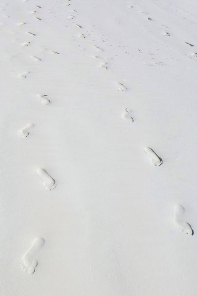 Sansibar Sand Footprints