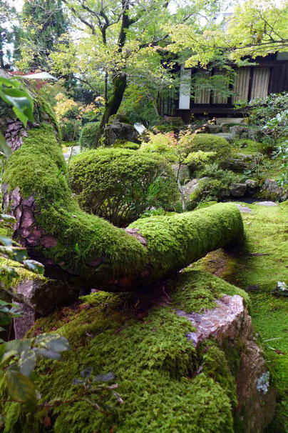 Kyoto Tipp schönste Tempelgarten Nanzen-ji Tempel Konchi-in Kyoto Guide Highlights Sehenswürdigkeiten