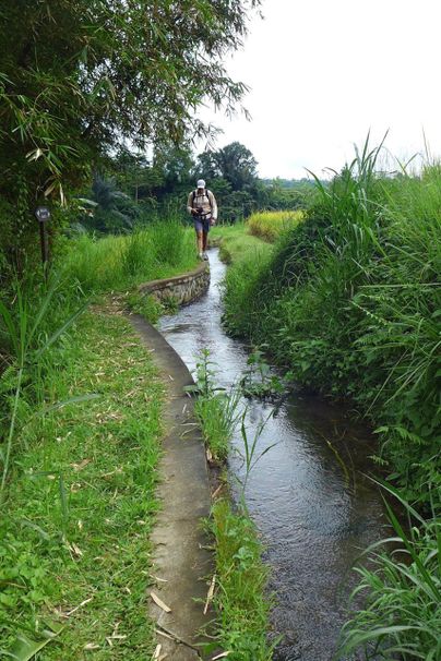 Wandern durch die Jatiluwih Reisterrassen Bali