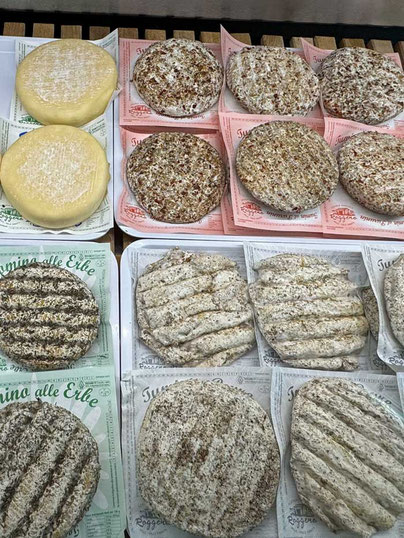 Toumin dal Mel Käse – Valle Varaita – Piemont
