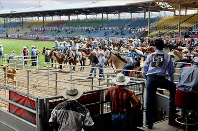 Calf Roping Cowboys at Pendleton Roundup Rodeo