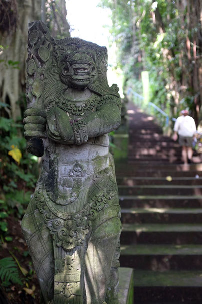 Reiseblog Ubud Bali Tour Tipps