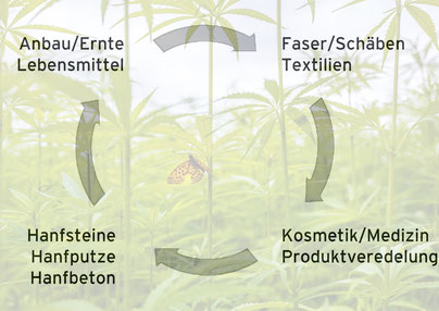 Hanf Anbau, Verarbeitung zu Lebensmitteln, CBD, Textilien und Hanfsteinen