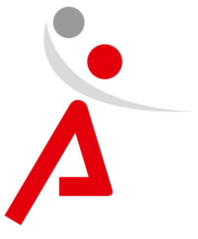 Logo TSV Landsberg Handball