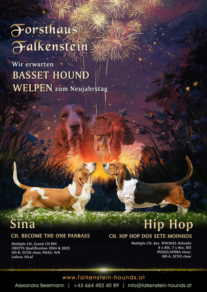 ©Mag. Christina Pleinert – Auf leisen Pfoten