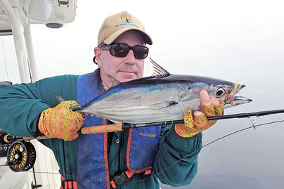 Fly Caught Skipjack