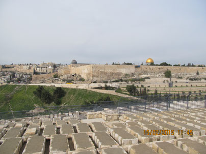 Ancient Jewish cemetery on Mt. of Olives slopes