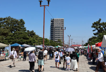 多くの家族連れでにぎわう浜寺公園