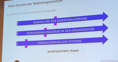 Slide mit drei Faktoren zur Beschreibung von Selbstorganisation 