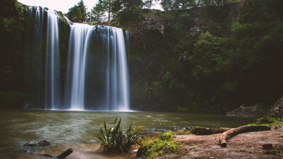 Whangarei Falls