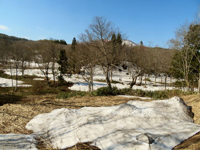 沼の原湿原は雪だらけ。